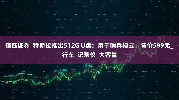 信钰证券  特斯拉推出512G U盘：用于哨兵模式，售价599元_行车_记录仪_大容量
