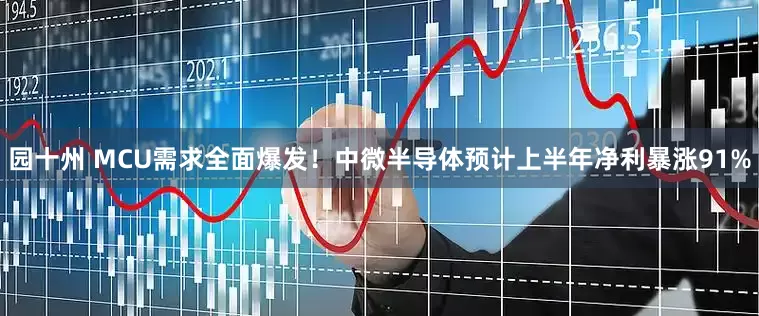 园十州 MCU需求全面爆发！中微半导体预计上半年净利暴涨91%